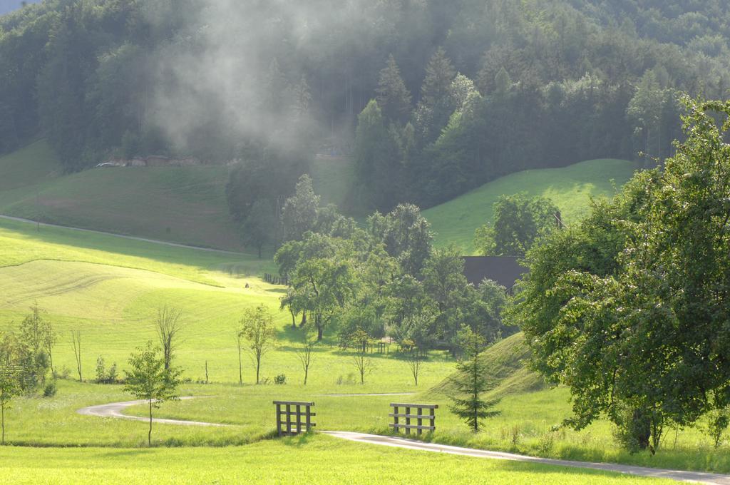 Bed and Breakfast Hinterkellaubauer Kuchl Zewnętrze zdjęcie